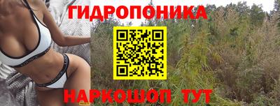 ГАЛЛЮЦИНОГЕННЫЕ ГРИБЫ Пушкино