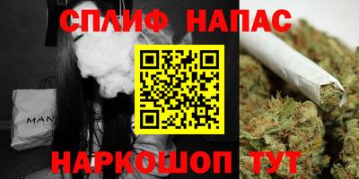 СК Пугачёв