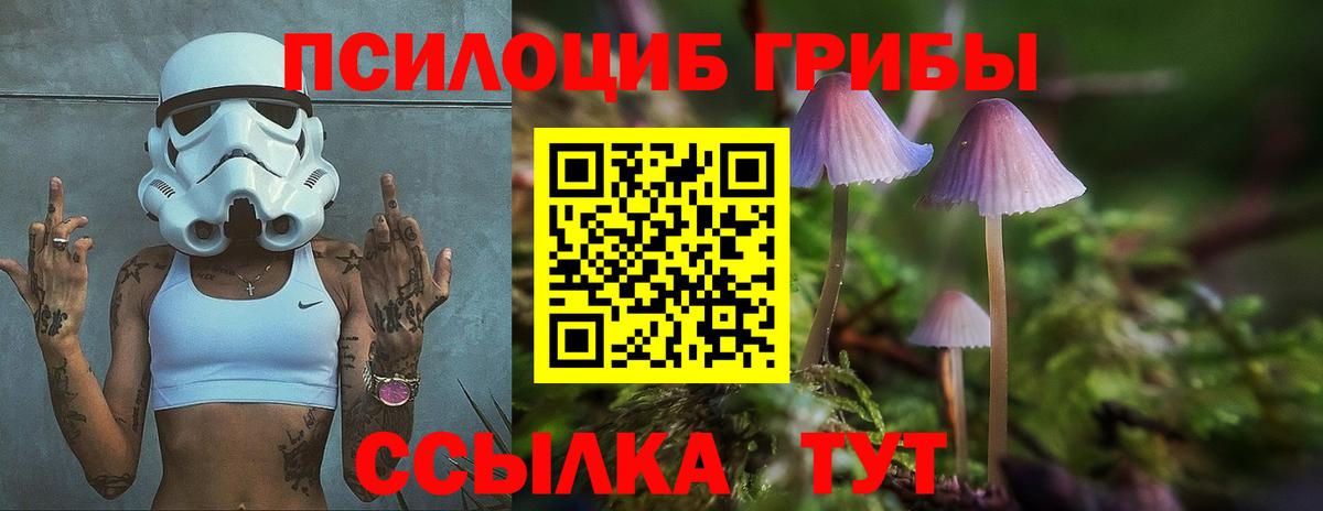 Галлюциногенные грибы GOLDEN TEACHER  Галлюциногенные грибы Psilocybine cubensis  Саратов  хочу наркоту  Вход с VPN 